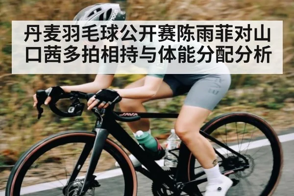 丹麦羽毛球公开赛陈雨菲对山口茜多拍相持与体能分配分析